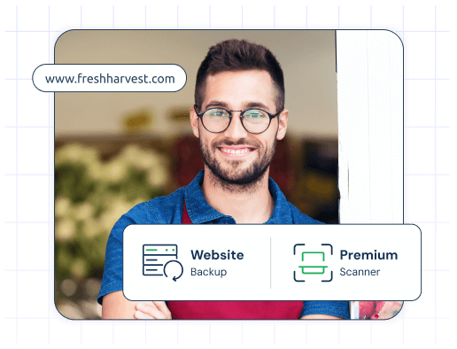 Premium Site-Scanner | MilesWeb UK